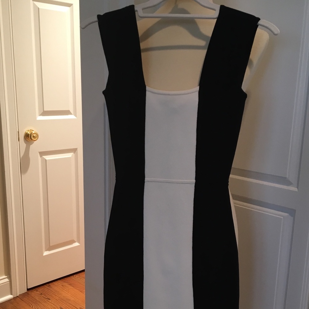 BCBG Maxazria Black and White Bodycon Dress